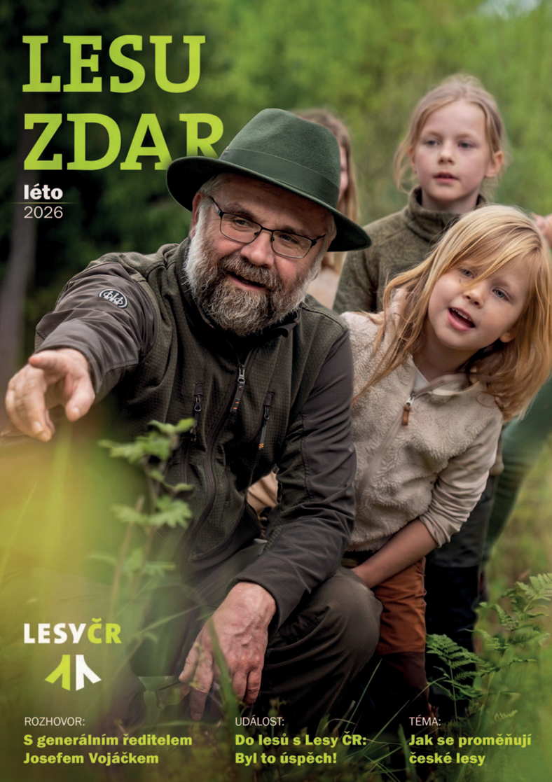 Lesu zdar léto 226